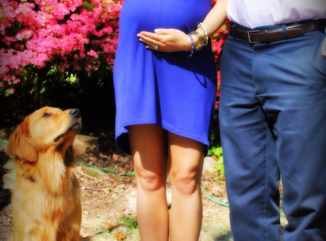 infertility, miscarriage, loss